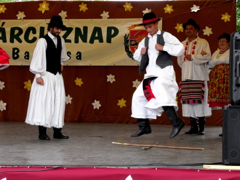 N__rcisz_Bab__csa_2010._123